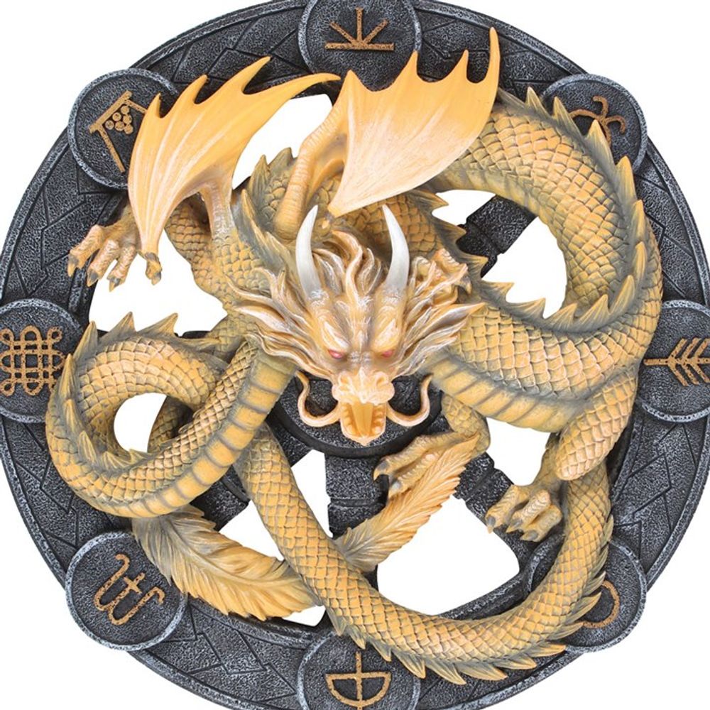 Imbolc Dragon Resin Wall Plaque by Anne Stokes